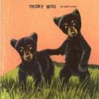 Tricky Woo : The Enemy Is Real